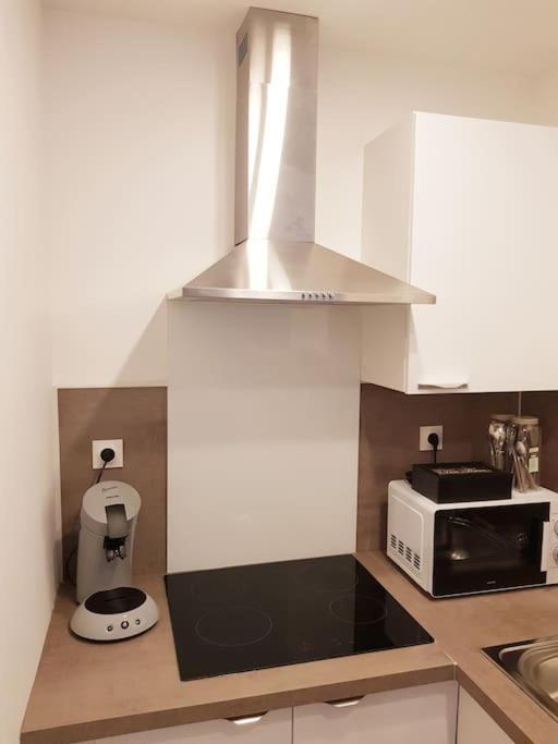 Le Jeanne 4/6 Couchages, Wifi, Sanctuaire Apartman Lourdes Kültér fotó