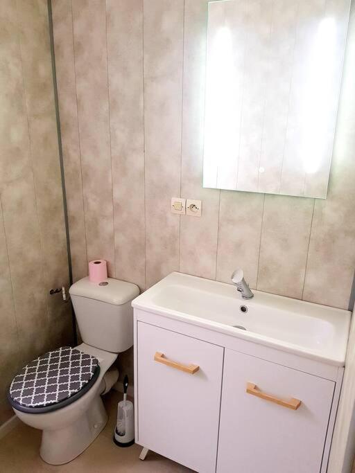 Le Jeanne 4/6 Couchages, Wifi, Sanctuaire Apartman Lourdes Kültér fotó